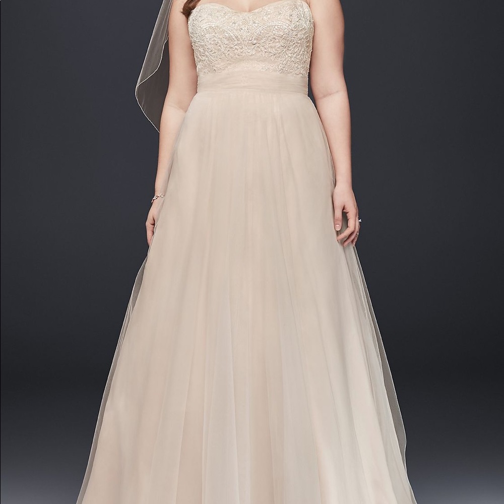 Plus size wedding dress!